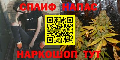 МДПВ Бийск