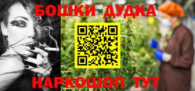 МДПВ Бийск