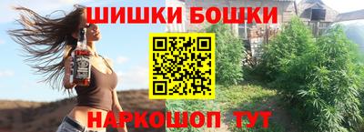 МДПВ Бийск