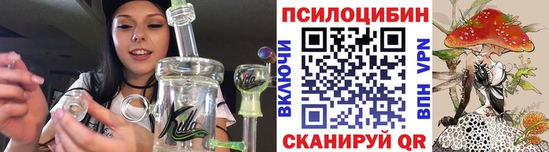 Псилоцибиновые грибы прущие грибы  купить  цена  гидра ссылки  Ипатово 