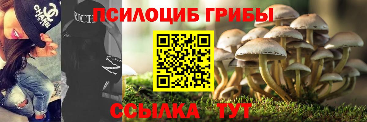 Ипатово  Псилоцибиновые грибы мухоморы  Вход с VPN  Псилоцибиновые грибы Psilocybine cubensis 