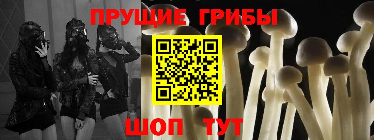 Псилоцибиновые грибы Psilocybe Ипатово